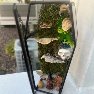 MysticNighShade- Terrarium with Skull and Insect Decor
